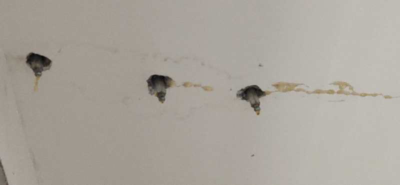  汝南建业5号楼1单元业主投诉，交房后房顶多次渗水至多户受损严重 