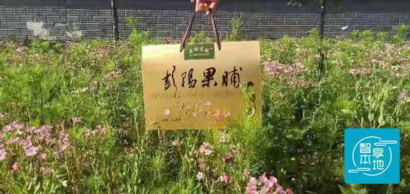 微信图片_20210502130939.jpg